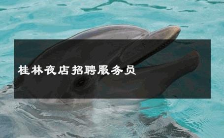 桂林夜店招聘服务员 