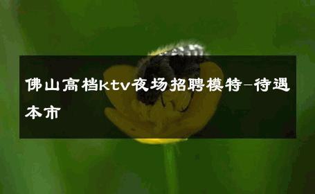 佛山高档ktv夜场招聘模特-待遇本市 