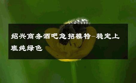 绍兴商务酒吧急招模特-稳定上班纯绿色 