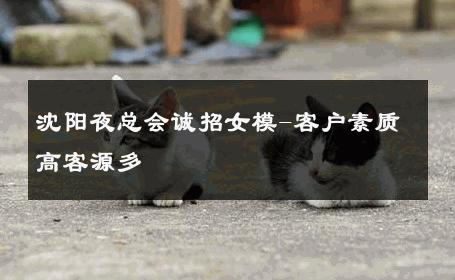 沈阳夜总会诚招女模-客户素质高客源多 