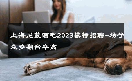 上海尼藏酒吧2023模特招聘-场子众多翻台率高 
