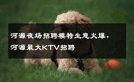 河源夜场招聘模特生意火爆，河源最大KTV招聘