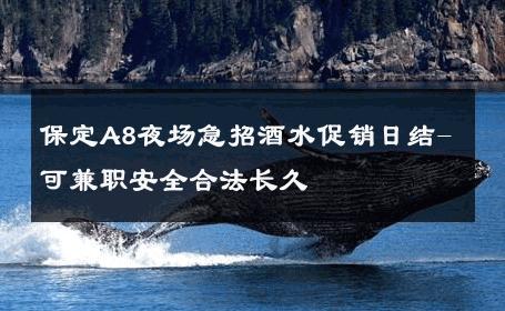 保定A8夜场急招酒水促销日结-可兼职安全合法长久 