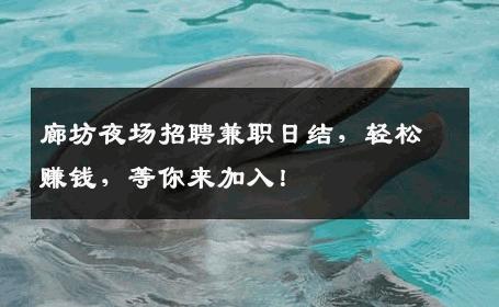 廊坊夜场招聘兼职日结，轻松赚钱，等你来加入！