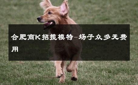 合肥商K招揽模特-场子众多无费用 