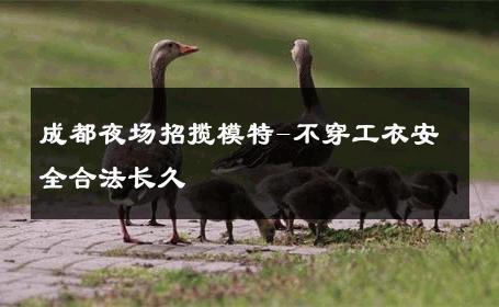 成都夜场招揽模特-不穿工衣安全合法长久 