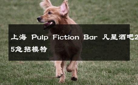 上海 Pulp Fiction Bar 凡星酒吧2025急招模特 