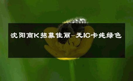 沈阳商K招募佳丽-无IC卡纯绿色 
