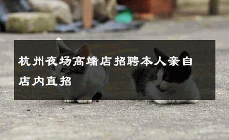 杭州夜场高端店招聘本人亲自店内直招 