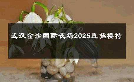 武汉金沙国际夜场2025直招模特 