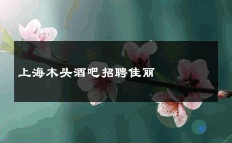 上海木头酒吧招聘佳丽 
