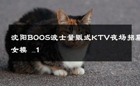 沈阳BOOS波士量贩式KTV夜场招募女模 _1