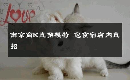 南京商K直招模特-包食宿店内直招 