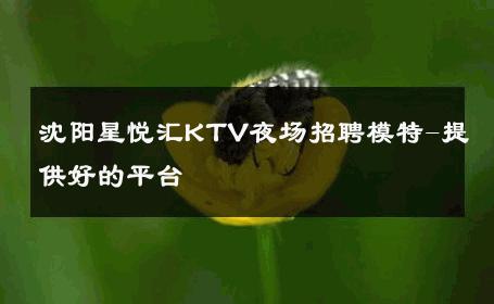 沈阳星悦汇KTV夜场招聘模特-提供好的平台 