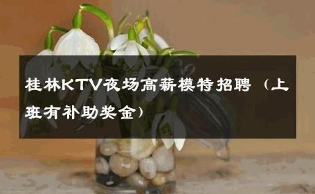 桂林KTV夜场高薪模特招聘（上班有补助奖金） 