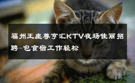 福州王座尊亨汇KTV夜场佳丽招聘-包食宿工作轻松 