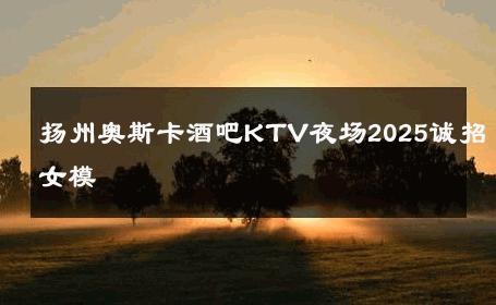 扬州奥斯卡酒吧KTV夜场2025诚招女模 