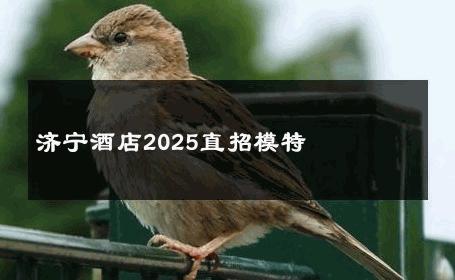 济宁酒店2025直招模特 