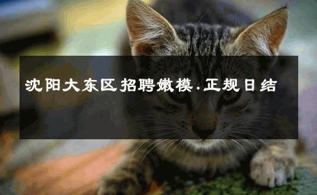 沈阳大东区招聘嫩模.正规日结 
