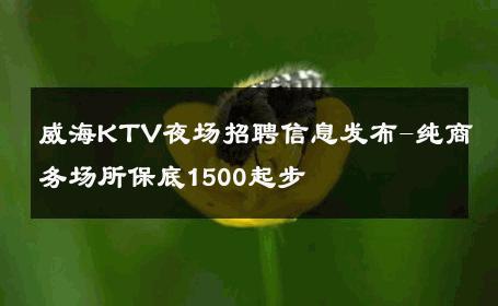 威海KTV夜场招聘信息发布-纯商务场所保底1500起步 