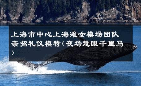 上海市中心上海滩女模场团队亲招礼仪模特(夜场慧眼千里马) 
