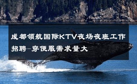 成都领航国际KTV夜场夜班工作招聘-穿便服需求量大 