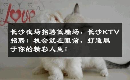 长沙夜场招聘低端场，长沙KTV招聘：机会就在眼前，打造属于你的精彩人生！