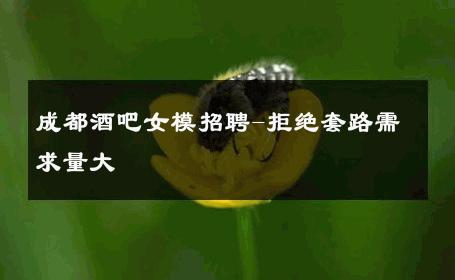 成都酒吧女模招聘-拒绝套路需求量大 