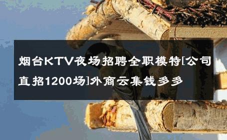烟台KTV夜场招聘全职模特[公司直招1200场]外商云集钱多多 