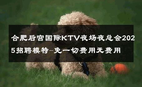 合肥后宫国际KTV夜场夜总会2025招聘模特-免一切费用无费用 