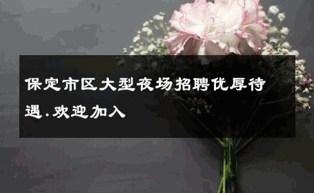保定市区大型夜场招聘优厚待遇.欢迎加入 