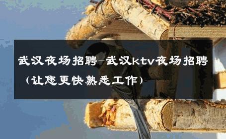 武汉夜场招聘-武汉ktv夜场招聘（让您更快熟悉工作） 