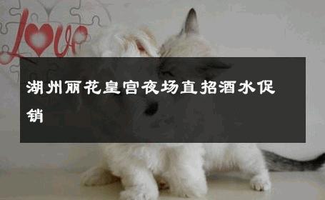 湖州丽花皇宫夜场直招酒水促销 