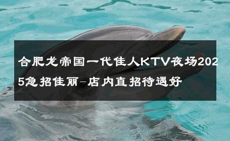 合肥龙帝国一代佳人KTV夜场2025急招佳丽-店内直招待遇好 