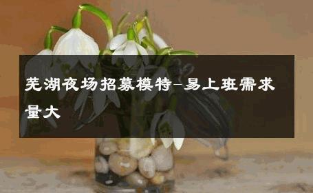 芜湖夜场招募模特-易上班需求量大 