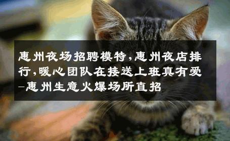 惠州夜场招聘模特,惠州夜店排行,暖心团队在接送上班真有爱-惠州生意火爆场所直招