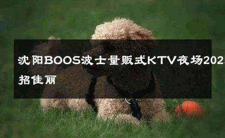 沈阳BOOS波士量贩式KTV夜场2025直招佳丽 