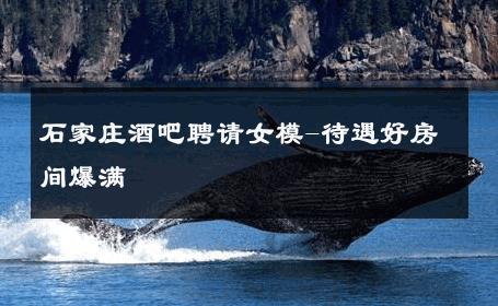 石家庄酒吧聘请女模-待遇好房间爆满 