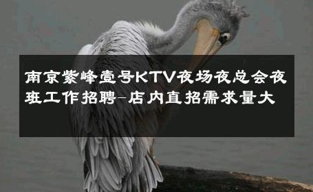 南京紫峰壹号KTV夜场夜总会夜班工作招聘-店内直招需求量大 