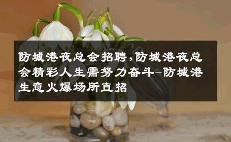 防城港夜总会招聘,防城港夜总会精彩人生需努力奋斗-防城港生意火爆场所直招