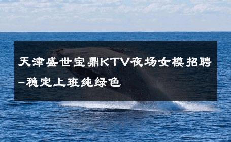 天津盛世宝鼎KTV夜场女模招聘-稳定上班纯绿色 