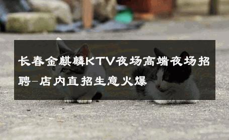 长春金麒麟KTV夜场高端夜场招聘-店内直招生意火爆 