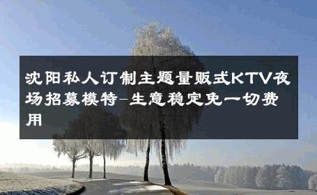 沈阳私人订制主题量贩式KTV夜场招募模特-生意稳定免一切费用 