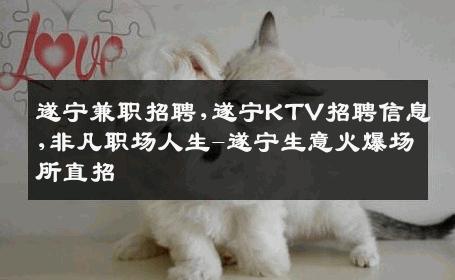 遂宁兼职招聘,遂宁KTV招聘信息,非凡职场人生-遂宁生意火爆场所直招