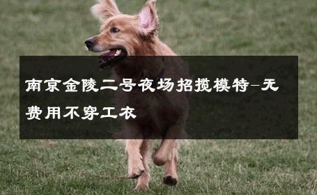 南京金陵二号夜场招揽模特-无费用不穿工衣 