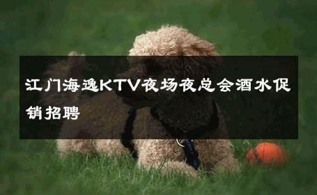 江门海逸KTV夜场夜总会酒水促销招聘 