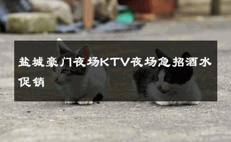 盐城豪门夜场KTV夜场急招酒水促销 