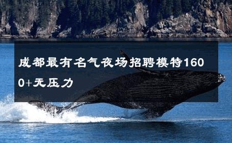 成都最有名气夜场招聘模特1600+无压力 