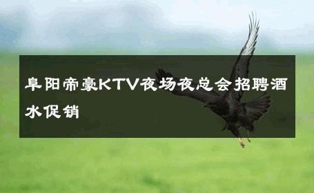 阜阳帝豪KTV夜场夜总会招聘酒水促销 