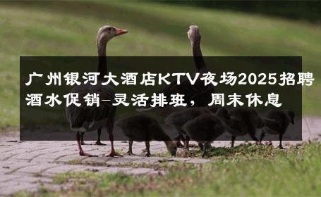广州银河大酒店KTV夜场2025招聘酒水促销-灵活排班，周末休息 